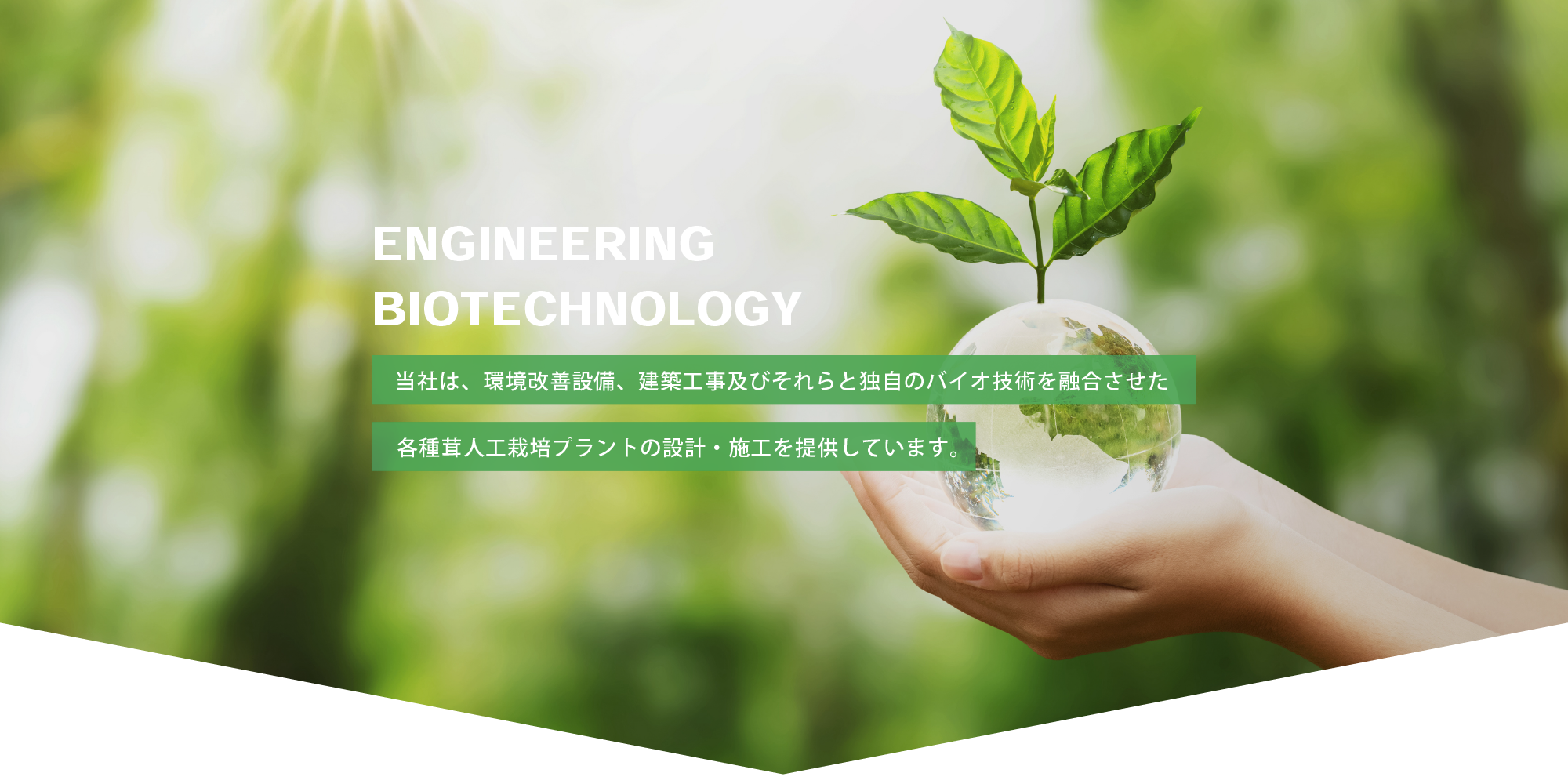 ENGINEERING BIOTECHNOLOGY