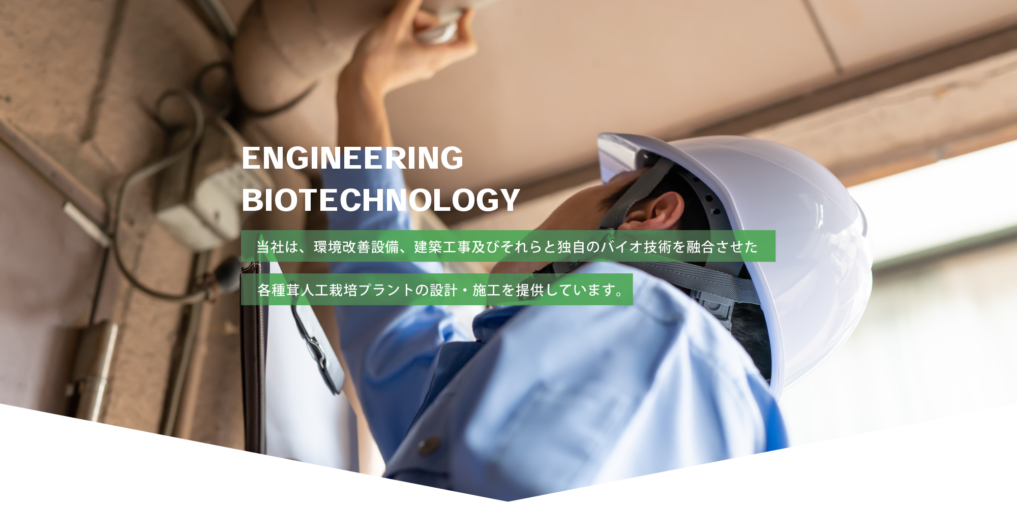 ENGINEERING BIOTECHNOLOGY