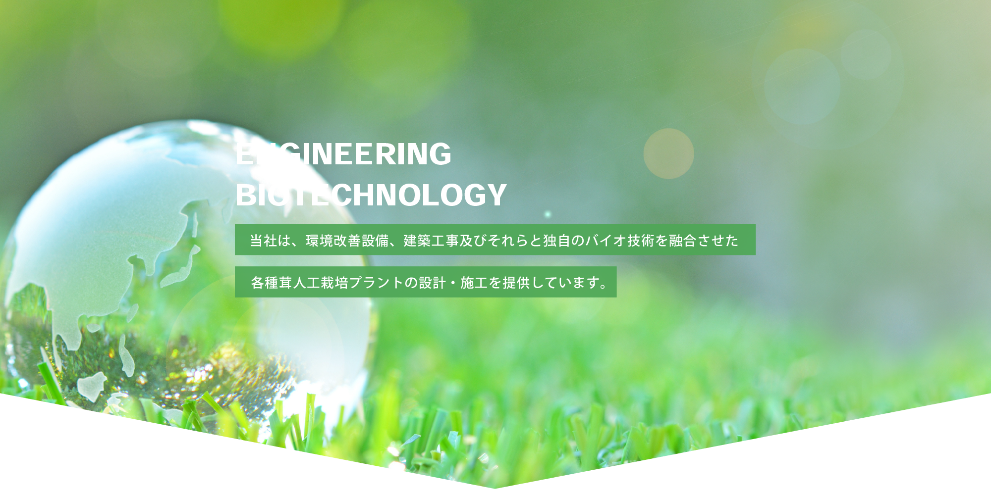 ENGINEERING BIOTECHNOLOGY